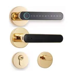 Smart Lock - Rose Set Handle - S604L - Gold